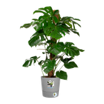 greensense aqua care round 30cm light concrete